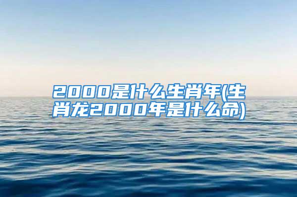 2000是什么生肖年(生肖龙2000年是什么命)