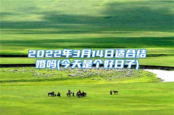 2022年3月14日适合结婚吗(今天是个好日子)