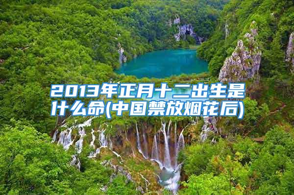 2013年正月十二出生是什么命(中国禁放烟花后)