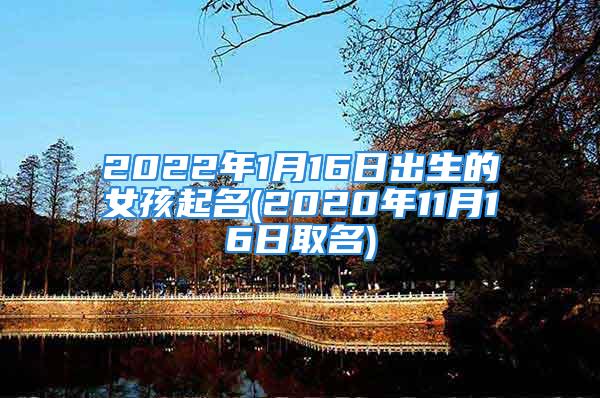 2022年1月16日出生的女孩起名(2020年11月16日取名)