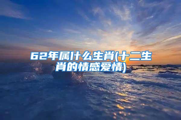 62年属什么生肖(十二生肖的情感爱情)