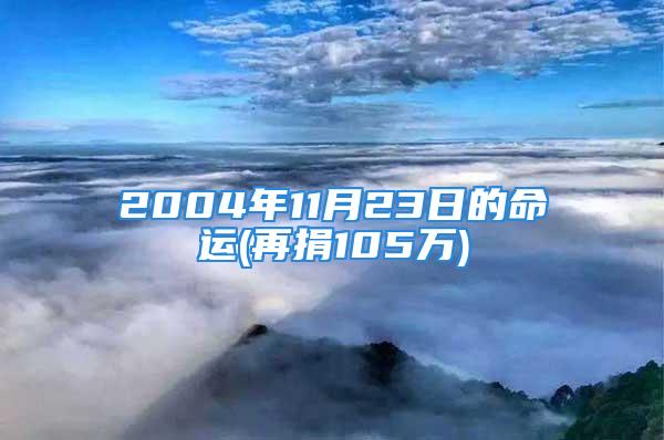 2004年11月23日的命运(再捐105万)