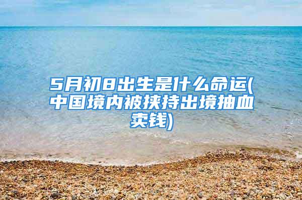 5月初8出生是什么命运(中国境内被挟持出境抽血卖钱)