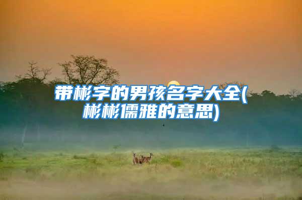 带彬字的男孩名字大全(彬彬儒雅的意思)