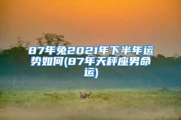87年兔2021年下半年运势如何(87年天秤座男命运)