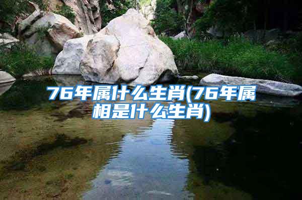 76年属什么生肖(76年属相是什么生肖)