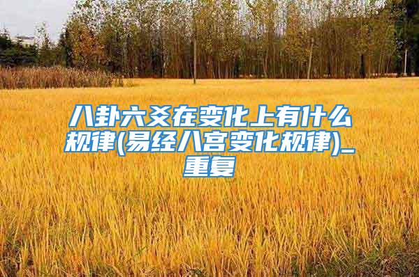 八卦六爻在变化上有什么规律(易经八宫变化规律)_重复