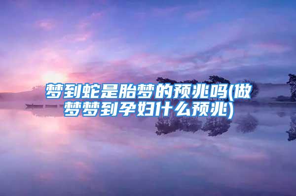 梦到蛇是胎梦的预兆吗(做梦梦到孕妇什么预兆)