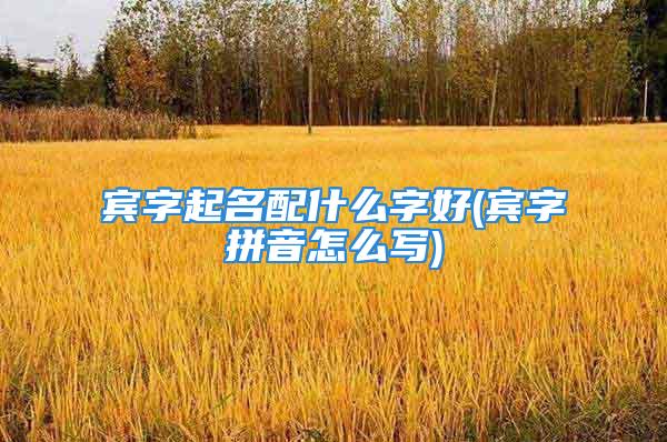宾字起名配什么字好(宾字拼音怎么写)
