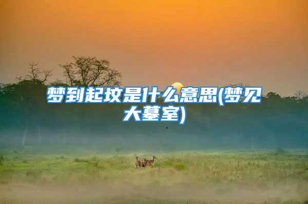 梦到起坟是什么意思(梦见大墓室)
