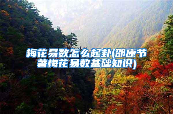 梅花易数怎么起卦(邵康节著梅花易数基础知识)