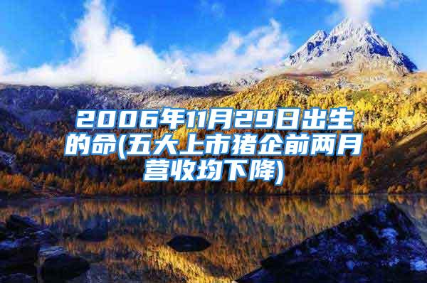 2006年11月29日出生的命(五大上市猪企前两月营收均下降)