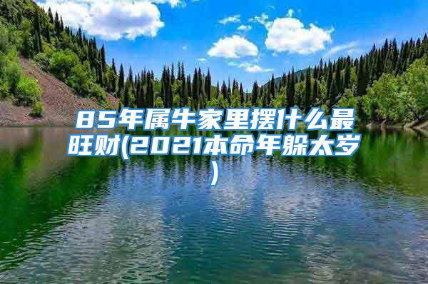 85年属牛家里摆什么最旺财(2021本命年躲太岁)