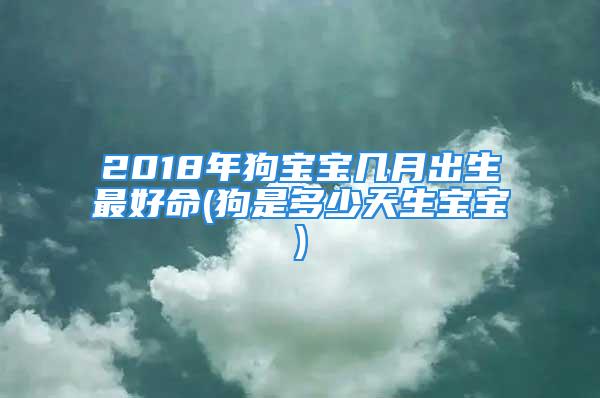 2018年狗宝宝几月出生最好命(狗是多少天生宝宝)