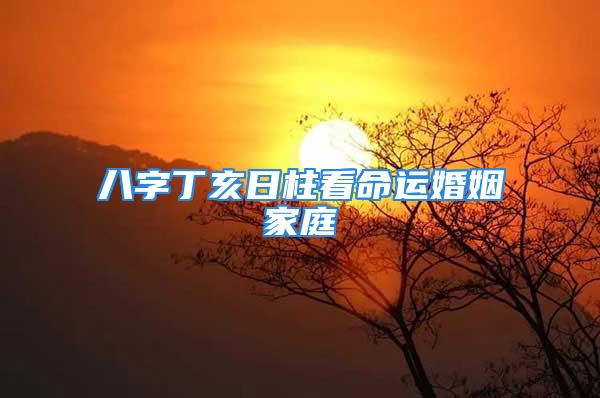 八字丁亥日柱看命运婚姻家庭