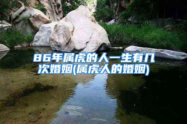 86年属虎的人一生有几次婚姻(属虎人的婚姻)