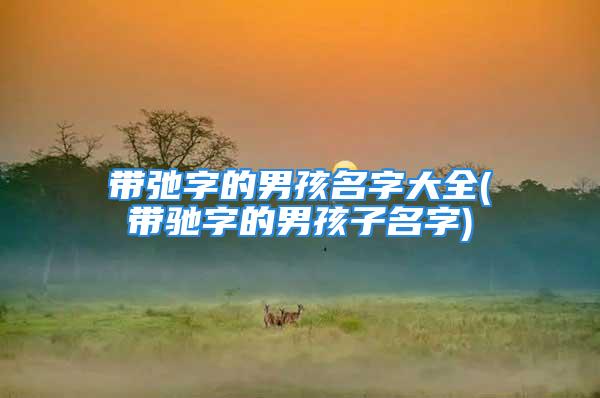带弛字的男孩名字大全(带驰字的男孩子名字)