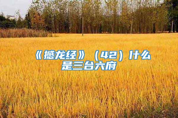 《撼龙经》（42）什么是三台六府