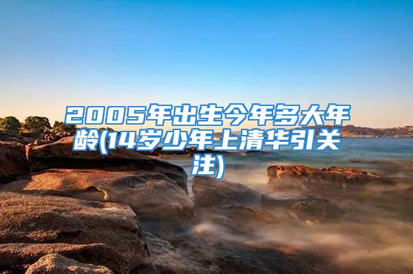 2005年出生今年多大年龄(14岁少年上清华引关注)