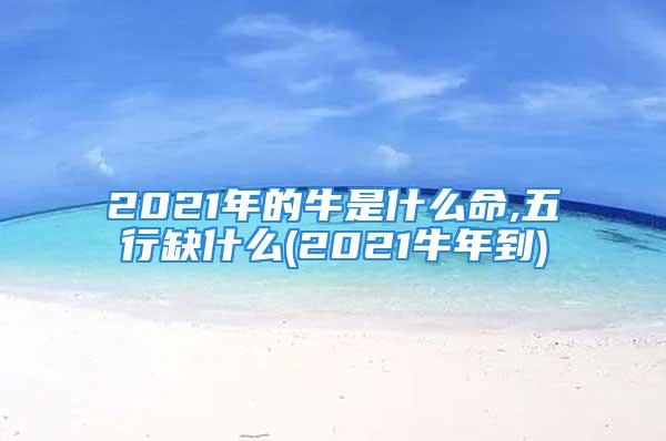 2021年的牛是什么命,五行缺什么(2021牛年到)