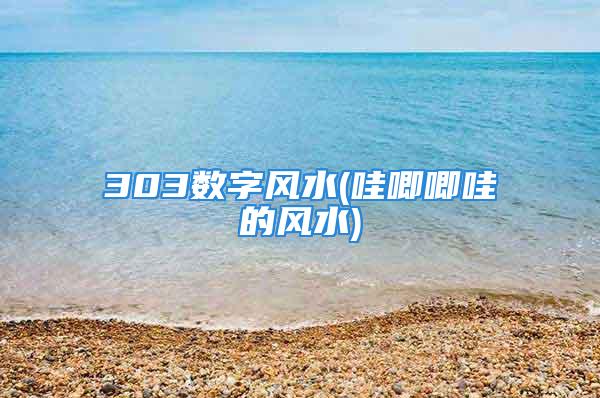 303数字风水(哇唧唧哇的风水)
