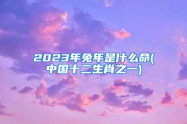 2023年兔年是什么命(中国十二生肖之一)
