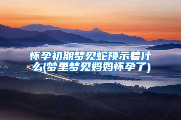 怀孕初期梦见蛇预示着什么(梦里梦见妈妈怀孕了)