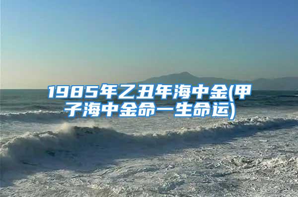 1985年乙丑年海中金(甲子海中金命一生命运)