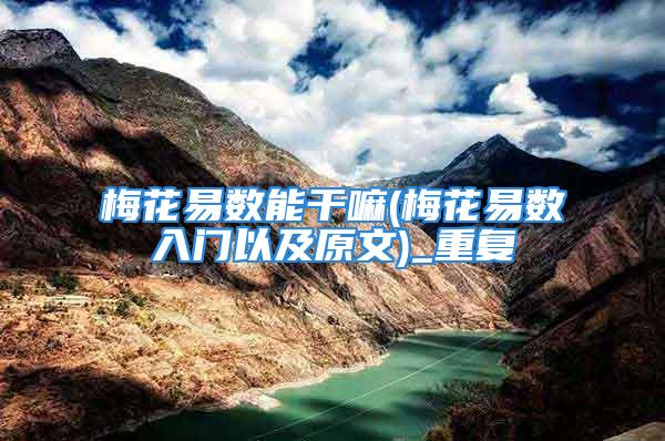 梅花易数能干嘛(梅花易数入门以及原文)_重复