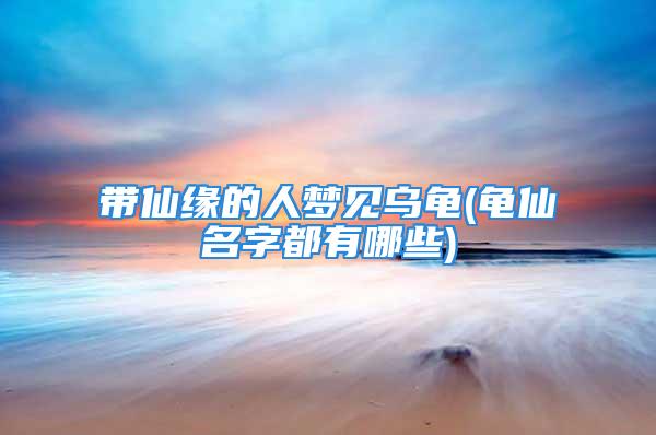 带仙缘的人梦见乌龟(龟仙名字都有哪些)