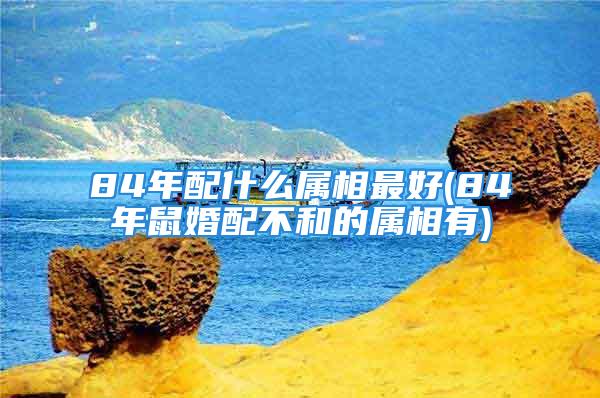 84年配什么属相最好(84年鼠婚配不和的属相有)