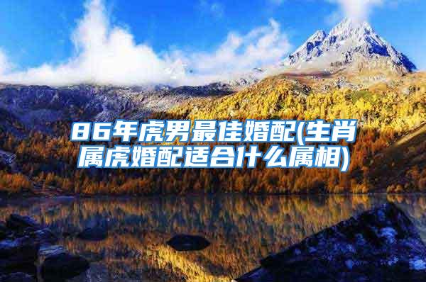 86年虎男最佳婚配(生肖属虎婚配适合什么属相)