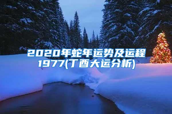 2020年蛇年运势及运程1977(丁酉大运分析)