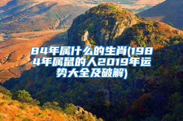 84年属什么的生肖(1984年属鼠的人2019年运势大全及破解)