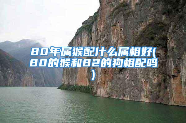 80年属猴配什么属相好(80的猴和82的狗相配吗)