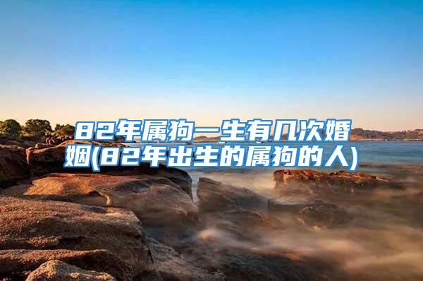 82年属狗一生有几次婚姻(82年出生的属狗的人)