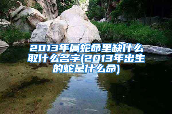 2013年属蛇命里缺什么取什么名字(2013年出生的蛇是什么命)