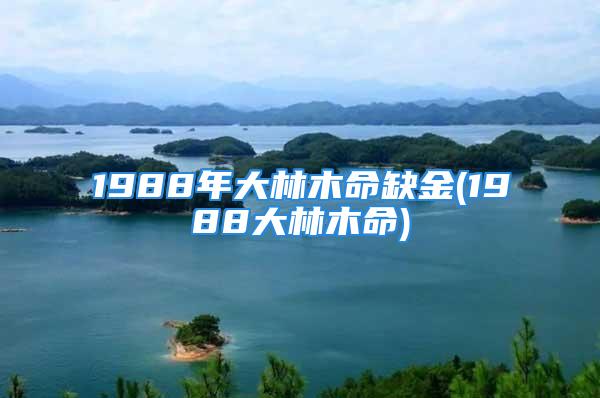 1988年大林木命缺金(1988大林木命)