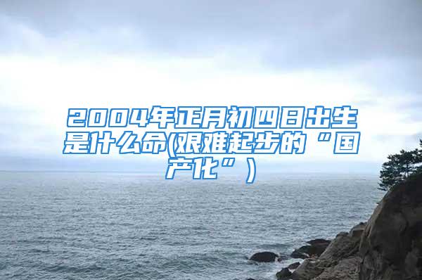 2004年正月初四日出生是什么命(艰难起步的“国产化”)