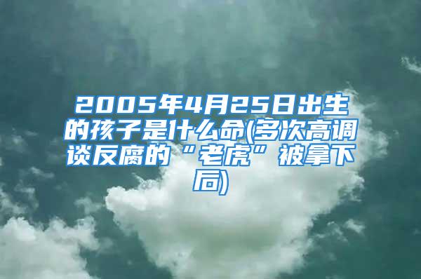 2005年4月25日出生的孩子是什么命(多次高调谈反腐的“老虎”被拿下后)