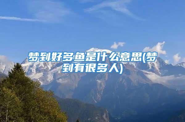 梦到好多鱼是什么意思(梦到有很多人)