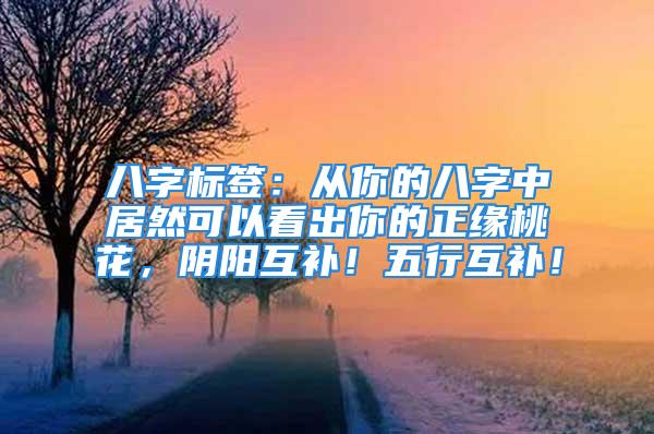 八字标签：从你的八字中居然可以看出你的正缘桃花，阴阳互补！五行互补！
