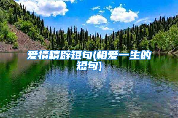 爱情精辟短句(相爱一生的短句)