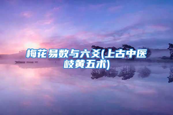 梅花易数与六爻(上古中医岐黄五术)