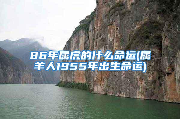 86年属虎的什么命运(属羊人1955年出生命运)
