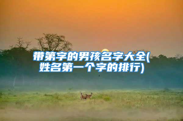 带第字的男孩名字大全(姓名第一个字的排行)