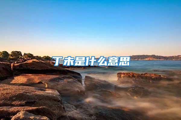 丁未是什么意思