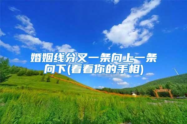 婚姻线分叉一条向上一条向下(看看你的手相)