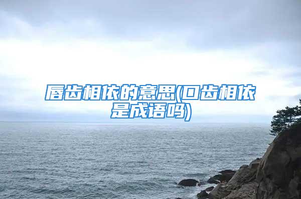 唇齿相依的意思(口齿相依是成语吗)