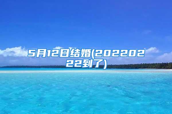 5月12日结婚(20220222到了)